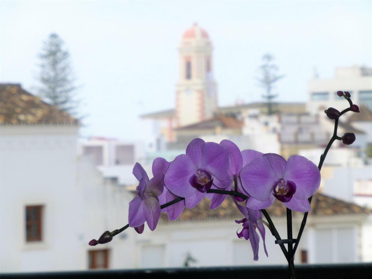 Apartamento Centrico Y Luminoso Estepona Eksteriør billede